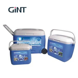 Yr Oeryddion Caled Gorau GiNT Brand China